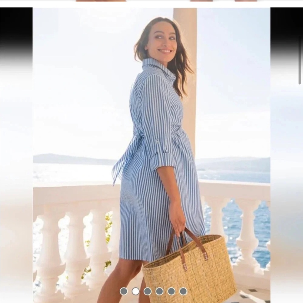 Seraphine Blue and White Striped Maternity/Nursing Shirt Dress - Picture 14 of 15